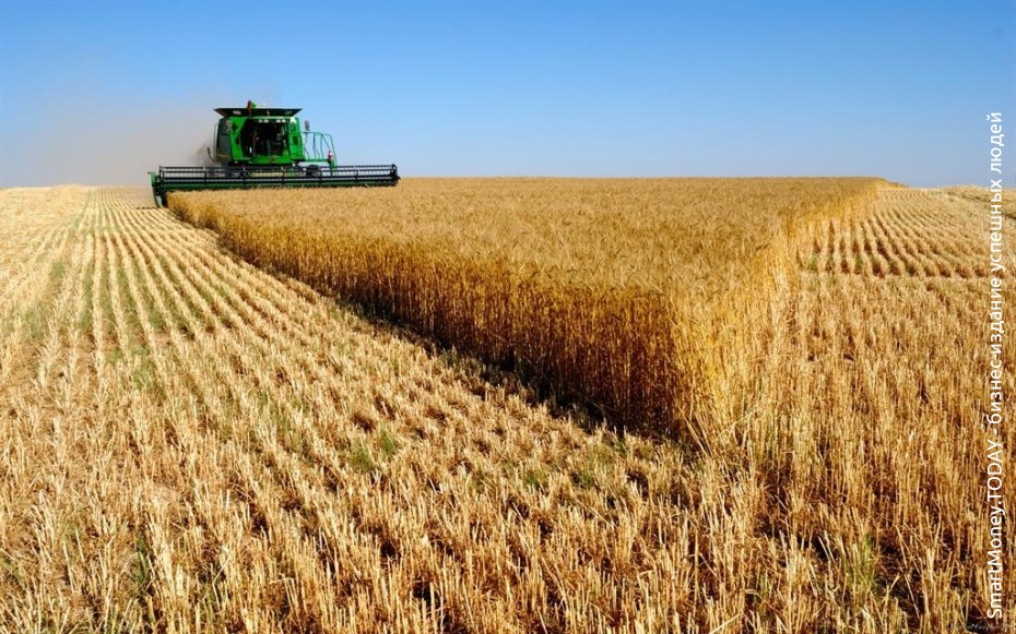 Сельское хозяйство в России постепенно выходит из кризиса