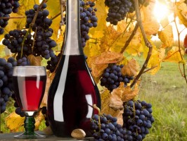 Минимальную цену на вино в 250 руб. хотят установить в России