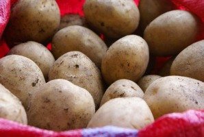 Египетский картофель вновь появится на российских прилавках