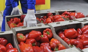 Турецкие овощи до конца года в Россию не вернутся