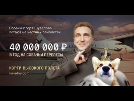 Дмитрий Потапенко Заработаем шувалову на собачек